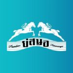 Desain Grafis (Placement KIRA Creative)