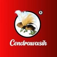 Marketing Communication