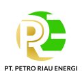 pt. petro riau energi