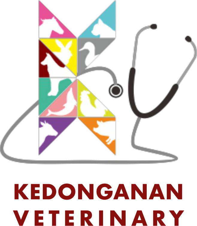 Kedonganan Veterinary Hospital